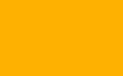 Colores: amarillo mostaza